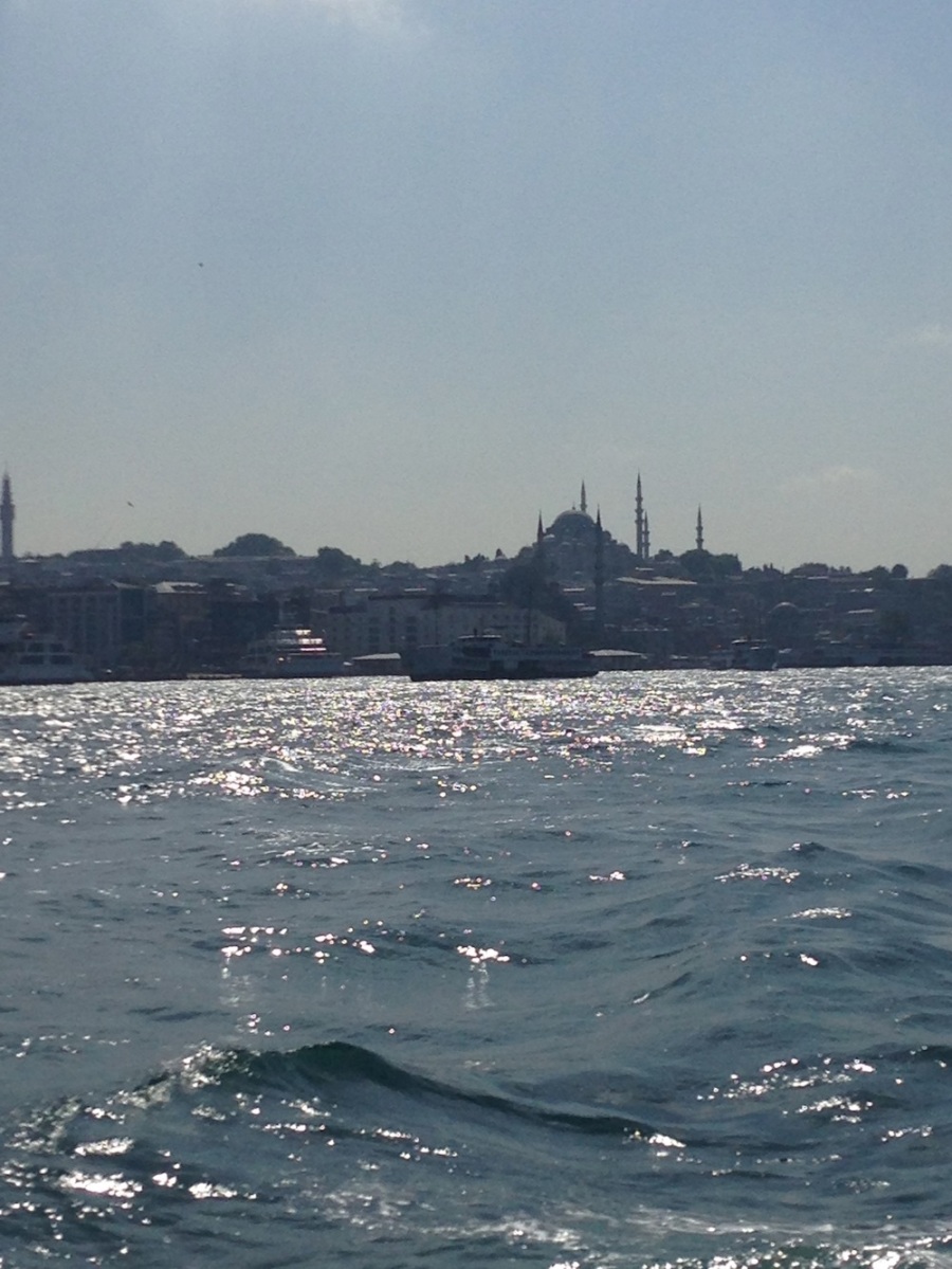 Is there a better skyline than Istanbul's? I think not.