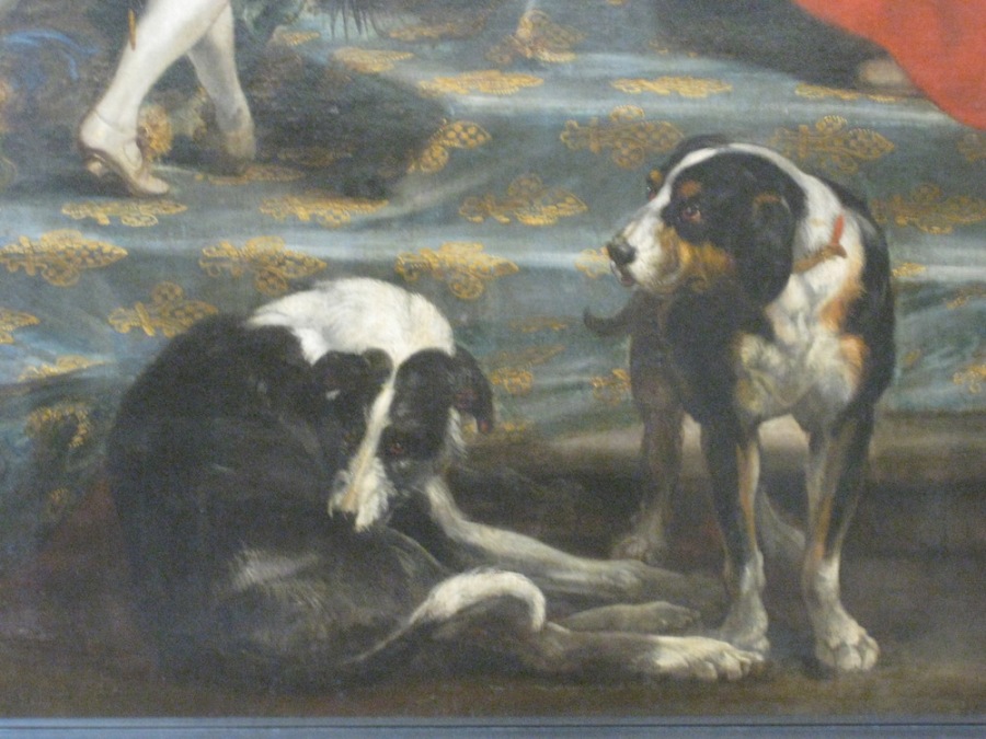Rubens dogs from the Marie de'Medici cycle, you know, cause the Louvre CAN